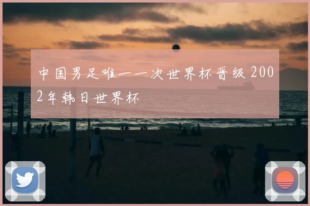 中国男足唯一一次世界杯晋级 2002年韩日世界杯